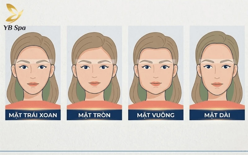 Lông Mày Lá Liễu: Ý Nghĩa Tướng Số, Khuôn Mặt Phù Hợp & Cách Tạo Dáng 11 Dáng mặt phù hợp lông mày lá liễu