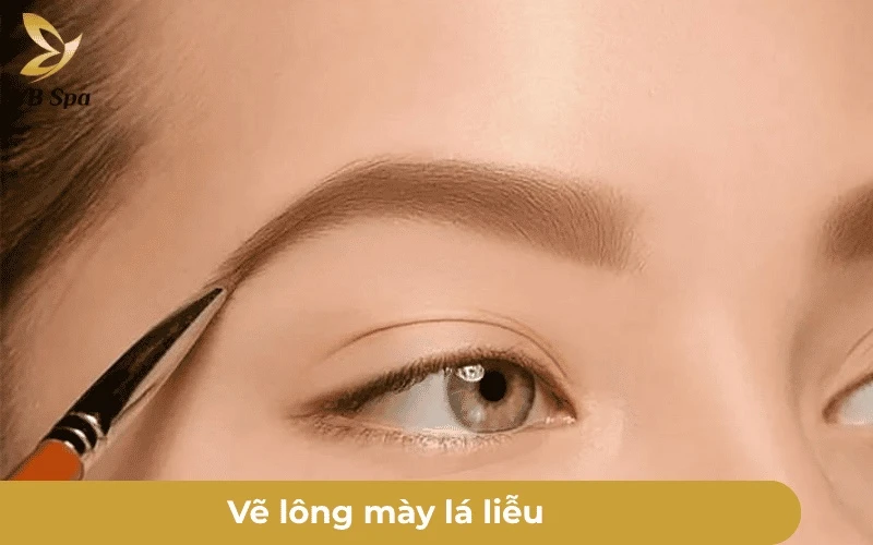 Lông Mày Lá Liễu: Ý Nghĩa Tướng Số, Khuôn Mặt Phù Hợp & Cách Tạo Dáng 13 Vẽ tạo dáng chân mày lá liễu