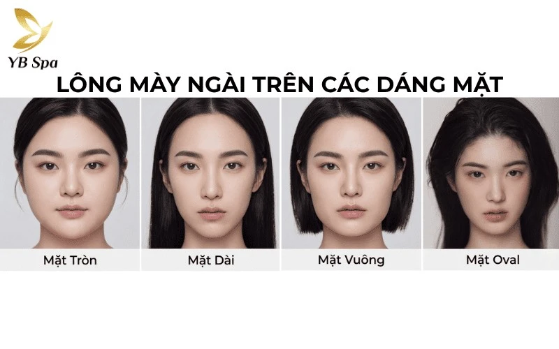 Lông mày ngài là "chìa khóa" giúp tôn vinh các đường nét thanh tú, đặc biệt phù hợp với những ai sở hữu khuôn mặt trái xoan hoặc mặt dài
