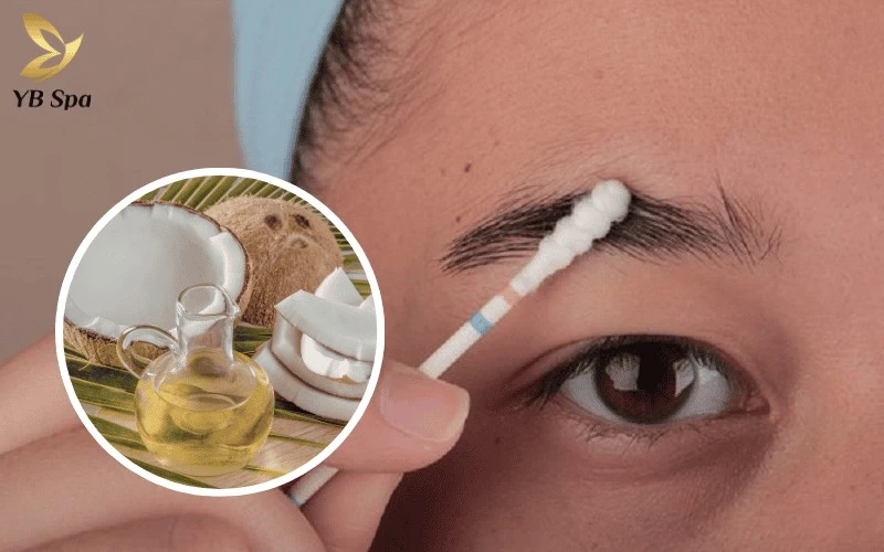 Với hàm lượng Acid Lauric dồi dào, dầu dừa dễ dàng thẩm thấu sâu vào lõi để nuôi dưỡng từng sợi lông mày từ bên trong