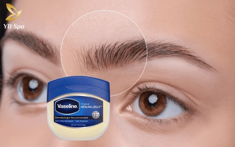 Vaseline không trực tiếp kích thích mọc lông nhưng đóng vai trò là một "lớp màng khóa ẩm" hoàn hảo.