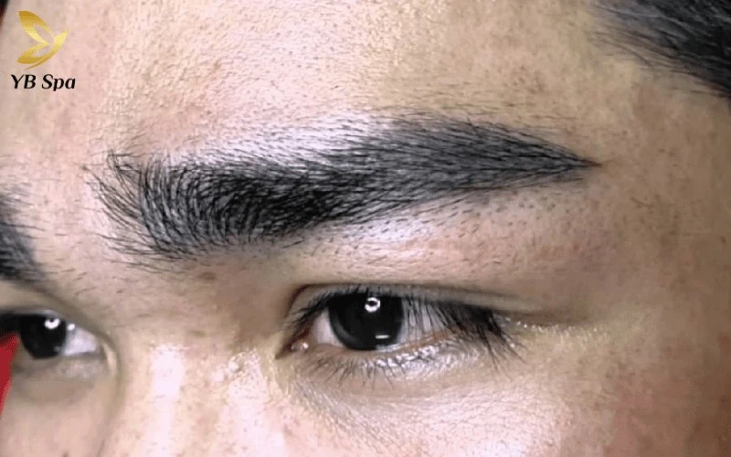 Lông mày rồng là dáng mày đậm, dài quá đuôi mắt với phần đuôi bay cao, đại diện cho quyền lực và thần thái uy nghiêm của người sở hữu