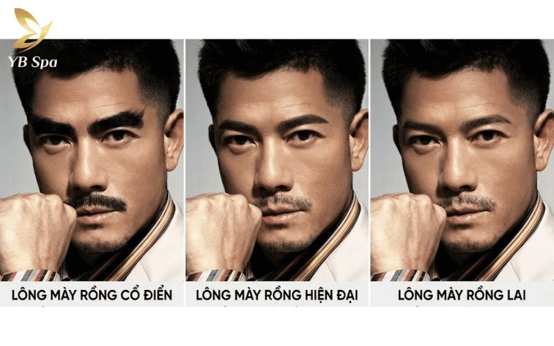 Việc phân chia các nhóm mày rồng giúp bạn dễ dàng lựa chọn dáng mày phù hợp nhất với cấu trúc gương mặt và phong cách cá nhân của mình