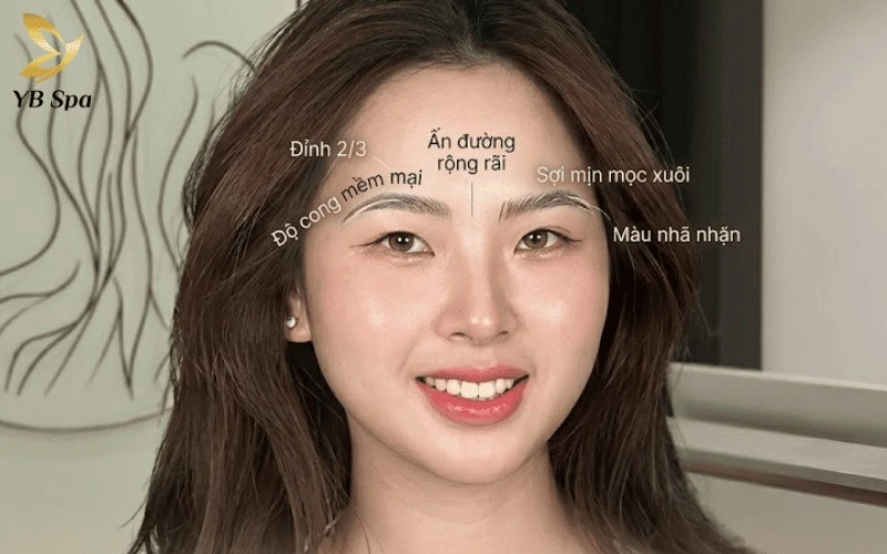 Lông mày trăng non (Tân Nguyệt Mi) sở hữu đường cong thanh mảnh, mô phỏng vẻ đẹp dịu dàng của vầng trăng khuyết đầu tháng