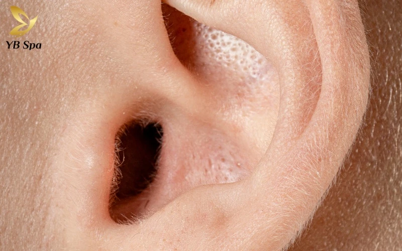 Khám phá ngay ý nghĩa thực sự của hiện tượng lông mọc ở tai dưới góc nhìn khoa học và nhân tướng học để biết đây là điềm báo tài lộc hay vấn đề sức khỏe