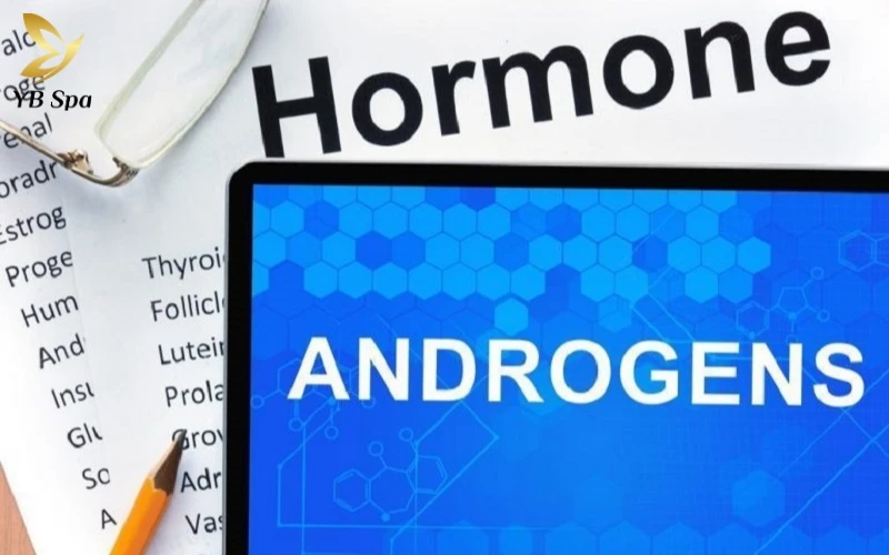 Tướng phụ nữ lông mu rậm theo nhân tướng học và khoa học 14 Khi nồng độ Androgen tăng cao, các tế bào nang lông phân chia mạnh mẽ hơn, tạo nên sợi lông dày và sẫm màu