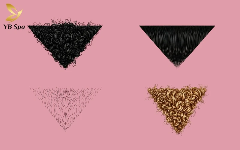 Tướng phụ nữ lông mu rậm theo nhân tướng học và khoa học 16 Mỗi kiểu hình lông mu đều mang những "mật mã" riêng về sức khỏe nội tiết và đặc điểm vận mệnh của người sở hữu