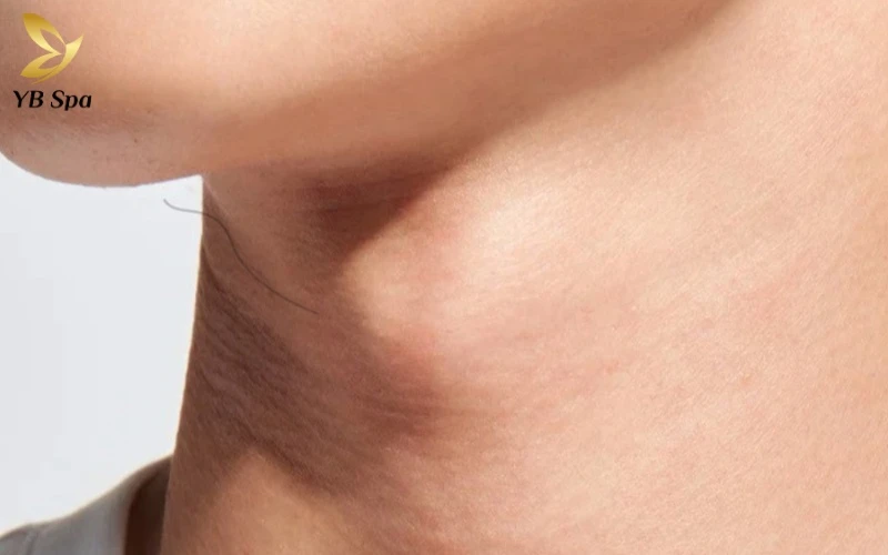 Lông tài là gì? Giải mã từ góc nhìn khoa học và nhân tướng (2026) 20 Sự xuất hiện của lông tài ở vai không chỉ là dấu hiệu của người chịu được áp lực cao mà còn phản ánh cơ chế sinh lý của làn da