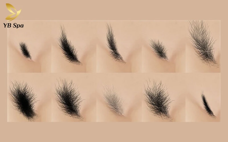 Đừng chạy theo số đông, hãy cùng YB Spa tìm ra "tiêu chuẩn vàng" để Lông vùng kín vừa đẹp cuốn hút, vừa khỏe mạnh từ bên trong