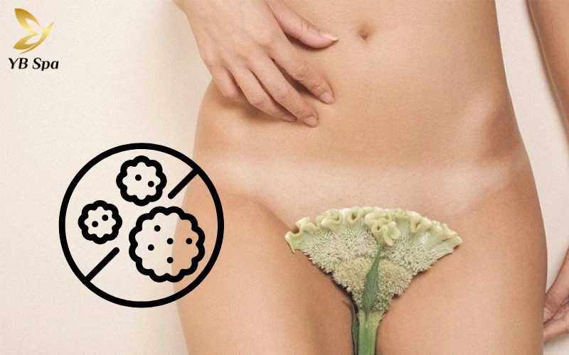 Hiểu đúng về vai trò ngăn chặn vi khuẩn sẽ giúp bạn có cách chăm sóc và thẩm mỹ vùng bikini một cách khoa học nhất