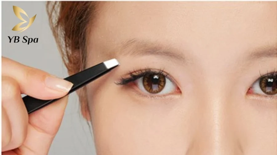 Tránh nhổ hay wax lông mày mới mọc để bảo vệ nang lông và thúc đẩy phục hồi.