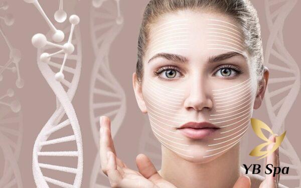 Meso cá hồi (Nguồn: Internet)