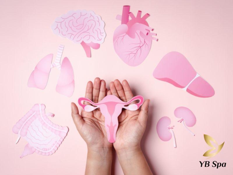 Mọc mụn ở cằm là hiện tượng gì? Nguyên nhân và cách điều trị 18 Mất cân bằng nội tiết tố dẫn đến tăng sản xuất dầu trên da