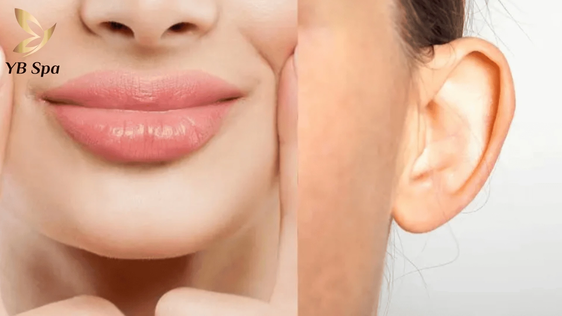 Tướng tai thô cứng đi cùng khuôn miệng cá trê phản ánh sự bảo thủ và khó khăn trong việc tích lũy tài sản.