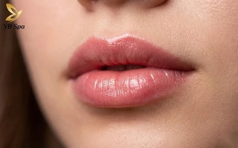 Môi chẻ là đường rãnh nhỏ, nông ở trung tâm môi, tạo nét độc đáo và cuốn hút.