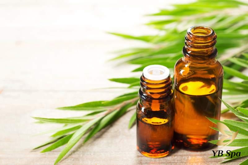 Tinh dầu tràm trà