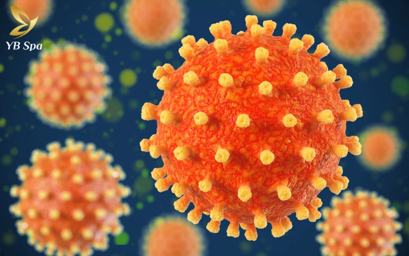 Mụn rộp sinh dục là gì? Triệu chứng, nguyên nhân và hướng dẫn điều trị 23 Virus Herpes Simplex (HSV-1, HSV-2)