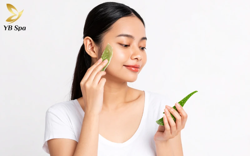 Mặt nạ Lô hội (Aloe Vera)