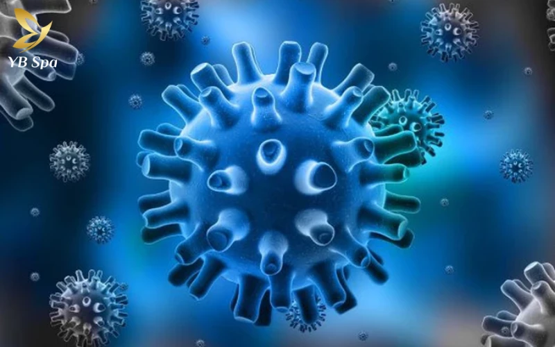 Nổi mụn nước ở môi bôi thuốc gì để nhanh khỏi và không để lại sẹo? 25 Virus Herpes Simplex (HSV-1)