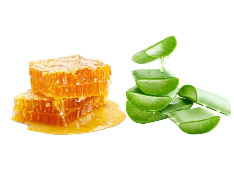 Nổi mụn nước trong miệng là bệnh gì? Cách chữa an toàn 21 Nha đam và mật ong