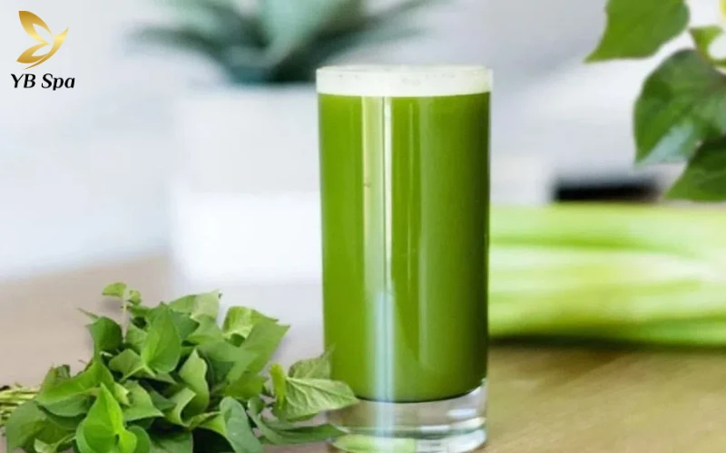 Nước lá diếp cá