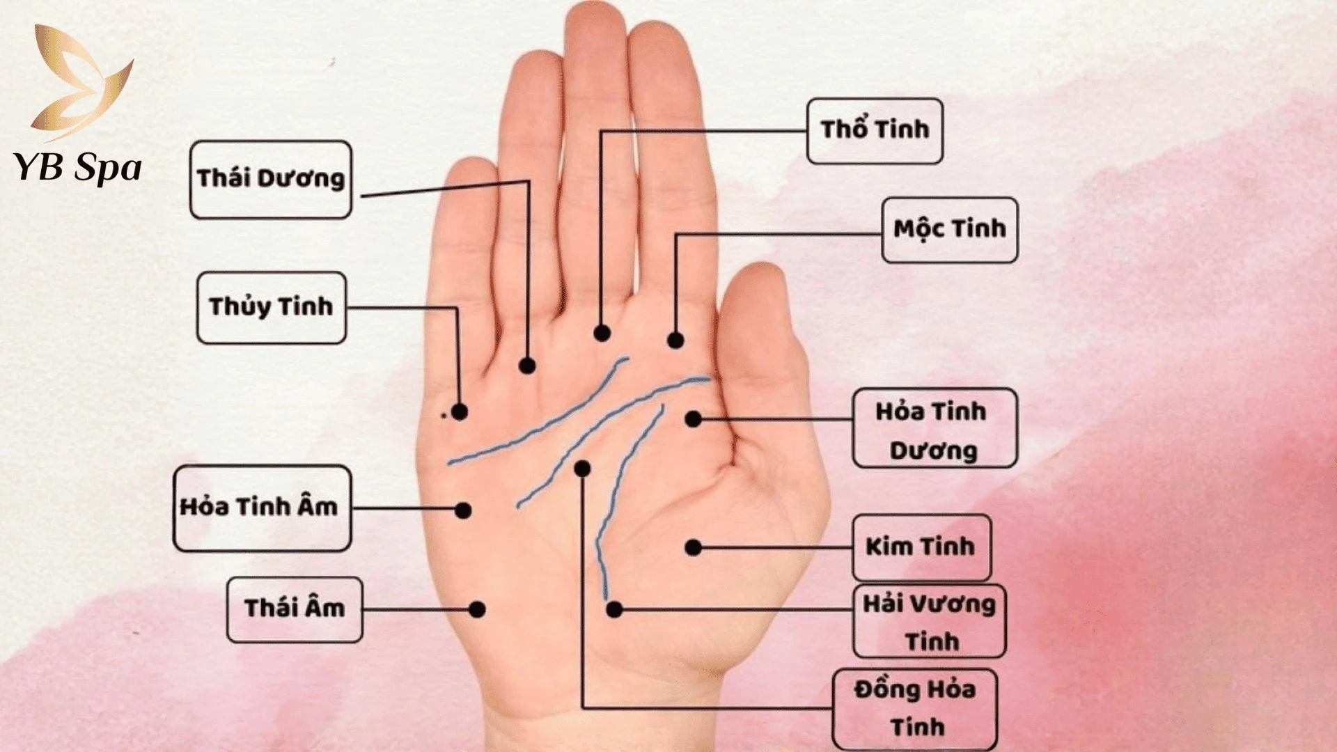Ý nghĩa nốt ruồi ở lòng bàn tay nam nữ theo nhân tướng học 23 Sơ đồ tên gọi vị trí các gò bàn tay.