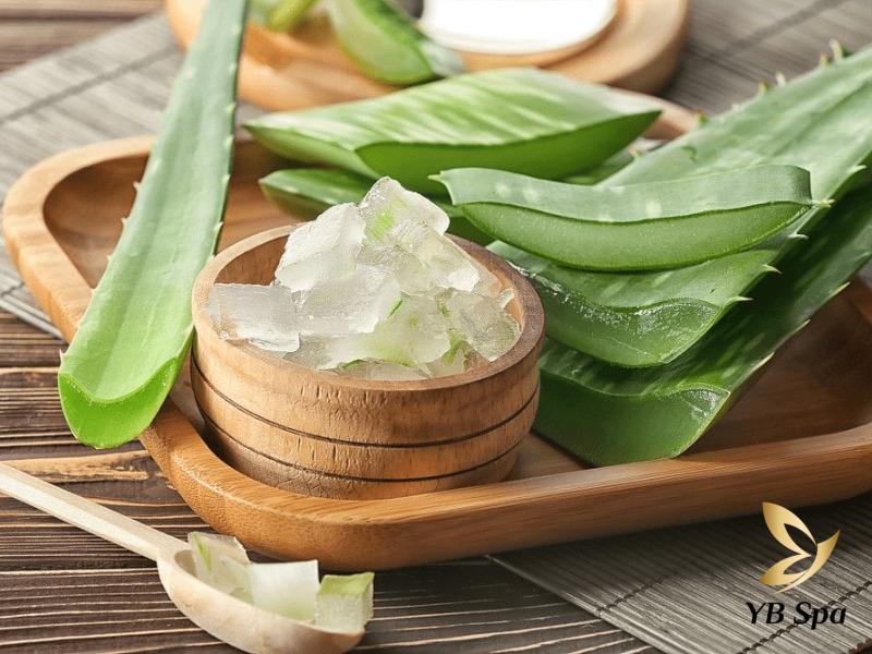 Peel da bị bỏng phải làm sao? Nguyên nhân và cách phục hồi 24 Sử dụng các dược liệu thiên nhiên để trị bỏng hiệu quả