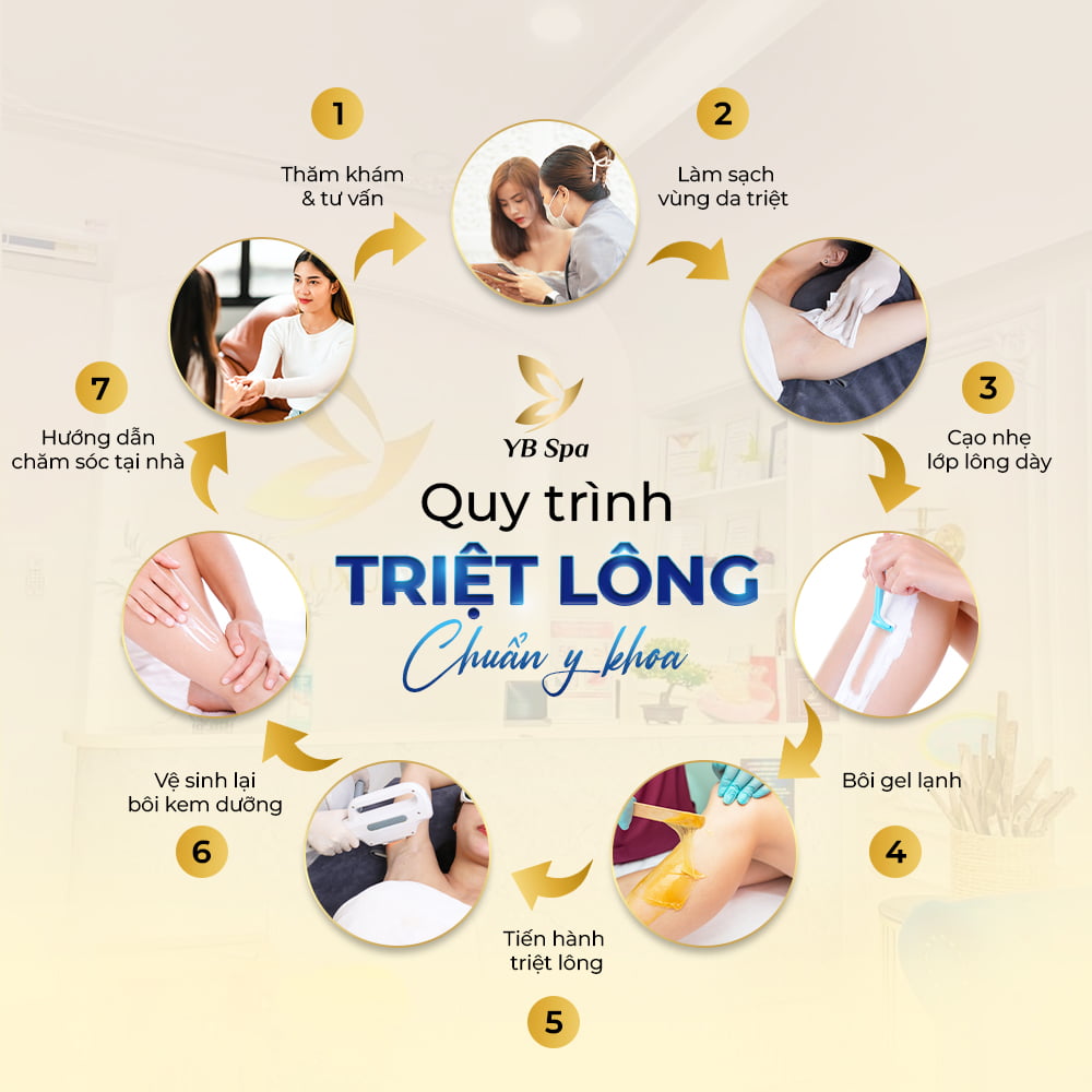 Quy Trình Triệt Lông