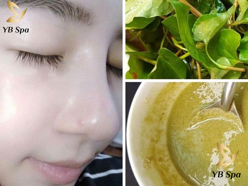 Rau diếp cá trị mụn có được không? Cần lưu ý gì? 29 iệc sử dụng rau diếp cá cần duy trì đều đặn nhưng tránh lạm dụng nó quá nhiều.