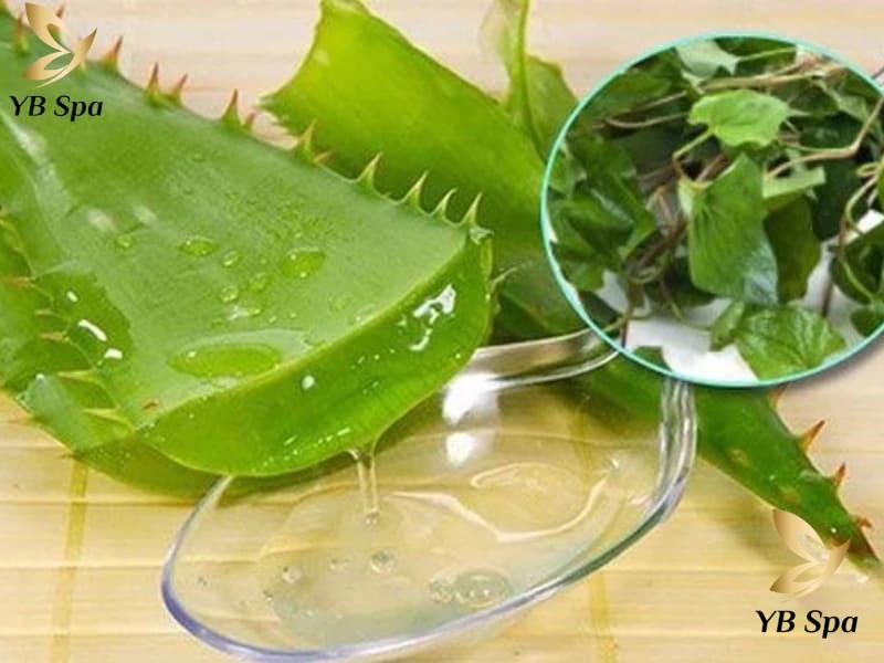 Rau diếp cá trị mụn có được không? Cần lưu ý gì? 26 hỗn hợp này không chỉ giảm sưng viêm mụn mà còn giúp làm mờ thâm
