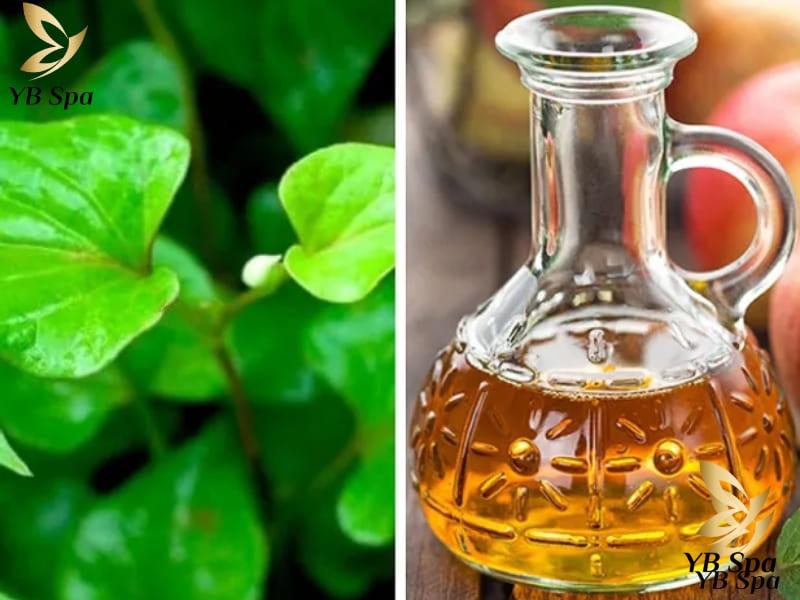 Rau diếp cá trị mụn có được không? Cần lưu ý gì? 27 hỗn hợp này giúp làm sạch sâu lỗ chân lông da