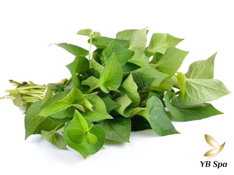 rau diếp cá trị mụn nhọt