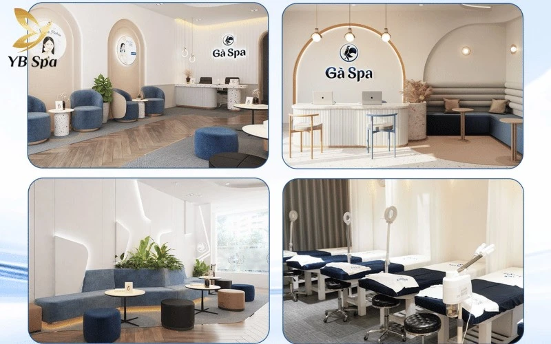 Gà Spa là thương hiệu dẫn đầu trong việc điều trị dứt điểm các tình trạng mụn và phục hồi da chuyên sâu cho giới trẻ