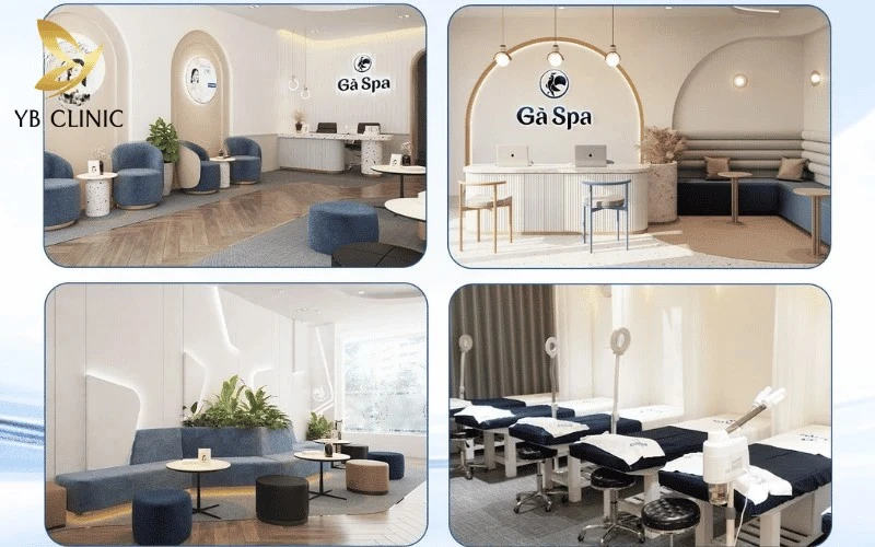Gà Spa nổi bật với dịch vụ thăm khám da liễu miễn phí bởi đội ngũ kỹ thuật viên giàu kinh nghiệm