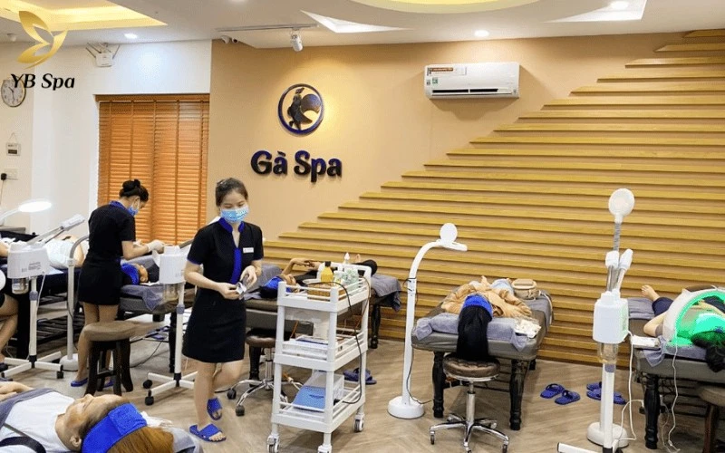 Top 6 Spa Chăm Sóc Da Tại Thủ Đức Uy Tín, Chất Lượng 2026 19 Sự tỉ mỉ trong khâu vệ sinh máy móc và thái độ phục vụ tận tâm giúp Gà Spa trở thành điểm đến lý tưởng cho các nhu cầu chăm sóc da và triệt lông