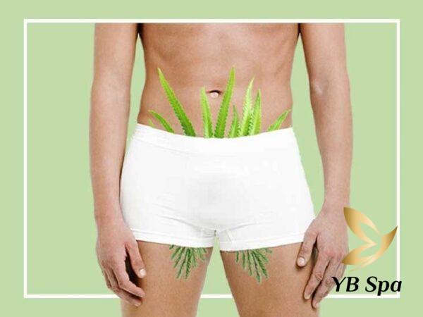 spa triệt lông vùng kín nam