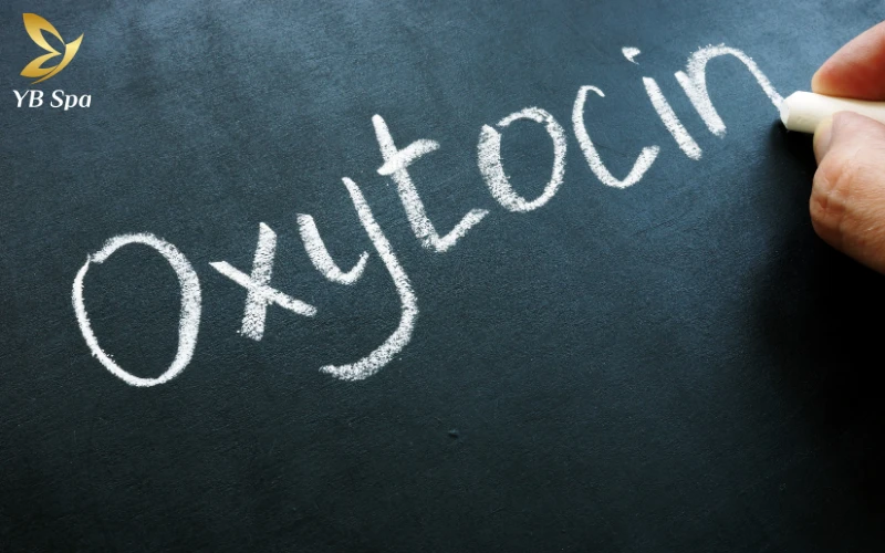 Tại sao khi yêu lại nổi mụn? Giải đáp khoa học về hormone và làn da 23 Oxytocin – hormone hạnh phúc nhưng cũng “kích dầu”