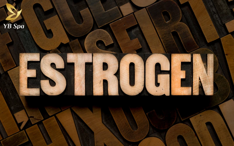 Tại sao khi yêu lại nổi mụn? Giải đáp khoa học về hormone và làn da 24 Estrogen dao động – da mất cân bằng độ ẩm