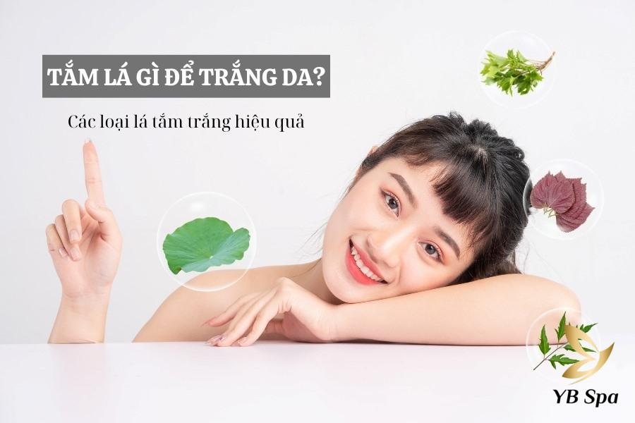 Tắm lá gì để trắng da? Các loại lá tắm làm trắng da hiệu quả 15 tắm lá gì để trắng da
