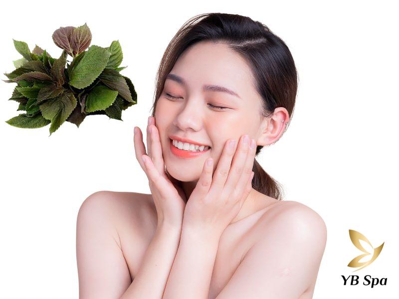 6 cách tắm trắng da bằng lá tía tô giúp bật tone hiệu quả 22 tắm trắng da bằng lá tía tô