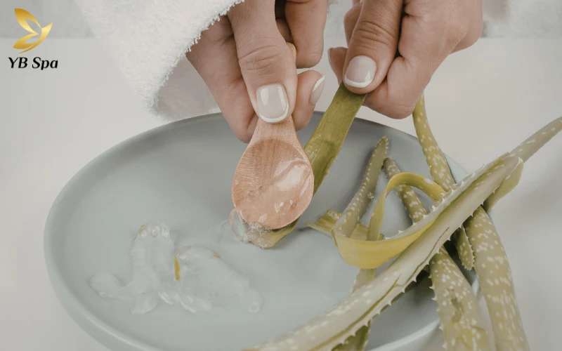 Sử dụng gel nha đam (Aloe Vera)