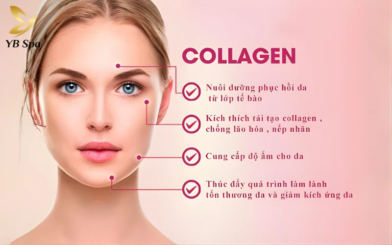 Top 12 Thực Phẩm Giàu Collagen Tốt Cho Da 29 Top 12 Thực Phẩm Giàu Collagen Tốt Cho Da