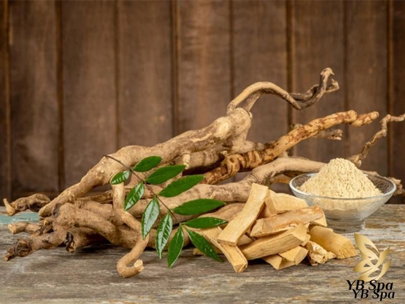 Thuốc rượu trị mụn là gì? Có nên dùng thuốc rượu trị mụn? 22 Các loại rễ cây thường được sử dụng có tính kháng viêm, kháng khuẩn và giúp hỗ trợ tái tạo da