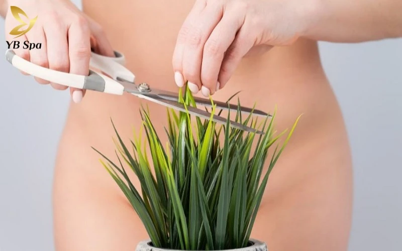 Cách tỉa lông vùng kín nữ bằng kéo an toàn, tránh ngứa 15 Tỉa lông định kỳ giúp vùng kín luôn khô thoáng, đẩy lùi tình trạng nóng bí và mùi khó chịu trong khí hậu nóng ẩm