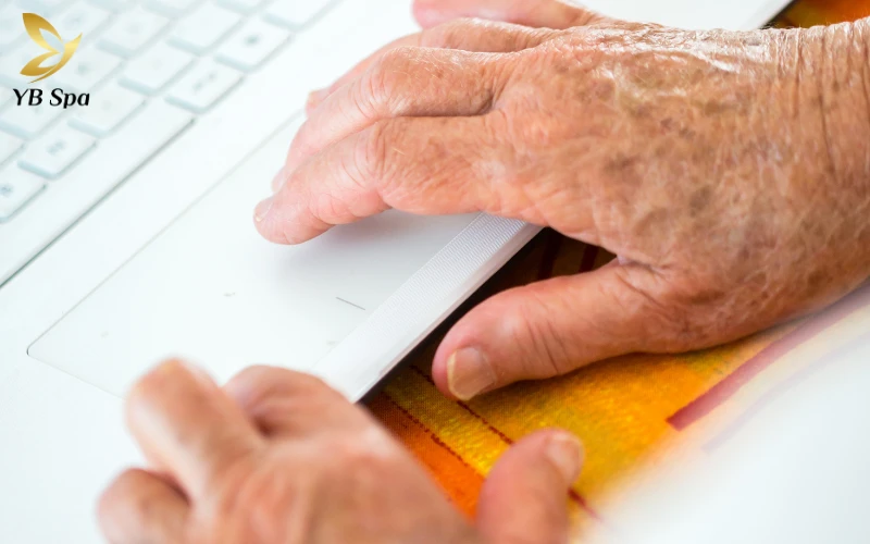 Đặc điểm nhận dạng đồi mồi