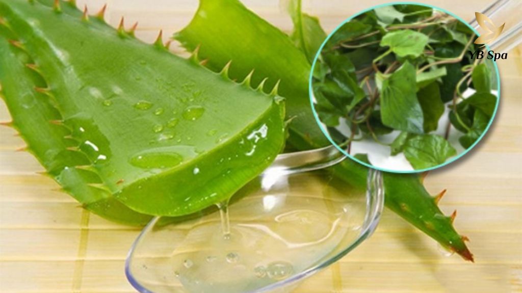 Tri Mun Bang Rau Diep Ca 1