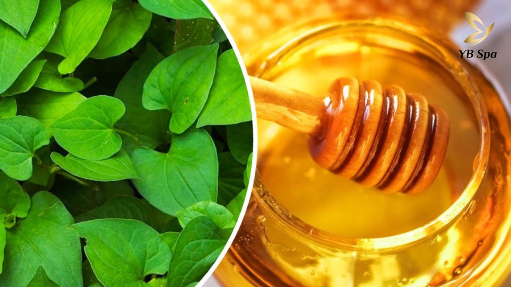 Tri Mun Bang Rau Diep Ca 2