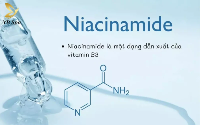 Cẩm nang trị mụn viêm đỏ an toàn, hiệu quả từ chuyên gia 34 Dưỡng ẩm và phục hồi