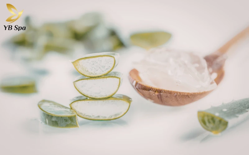 5 cách trị thâm mụn cấp tốc sau 1 đêm giúp da sáng đều màu 34 Gel nha đam (Aloe Vera)