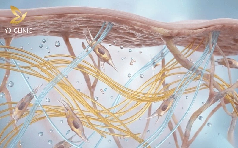 Trị Thâm Nách Bằng Laser Có Hiệu Quả Không? Quy Trình, Chi Phí Và Lưu Ý 8 Quá trình tăng sinh collagen tự nhiên giúp tái tạo cấu trúc da nách phẳng mịn, đàn hồi tốt.